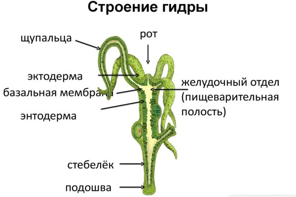 Kraken darknet ссылка тор