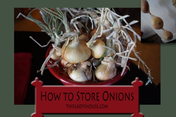 Кракен сайт официальный onion