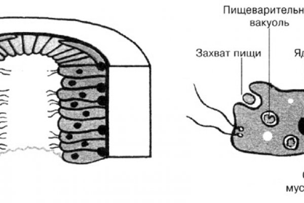 Кракен ссылка маркет