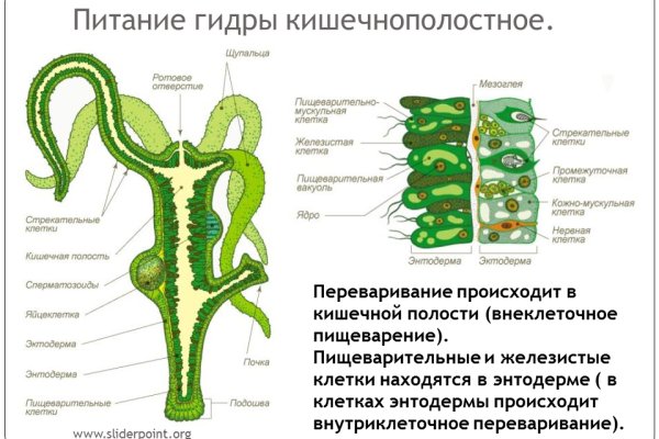 Официальный сайт кракен тор