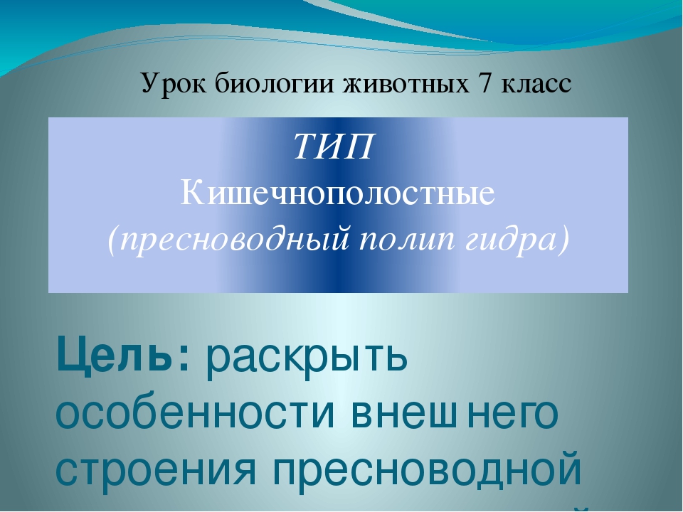 Кракен маркетплейс